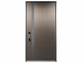 Steel Entrance Door — front view