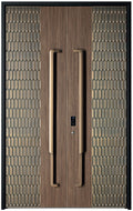 Aluminum Entrance Door — front view